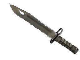 ★ Bayonet | Safari Mesh (Field-Tested)
